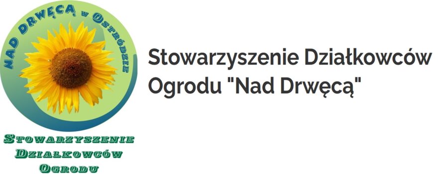 SDO Nad Drwęcą